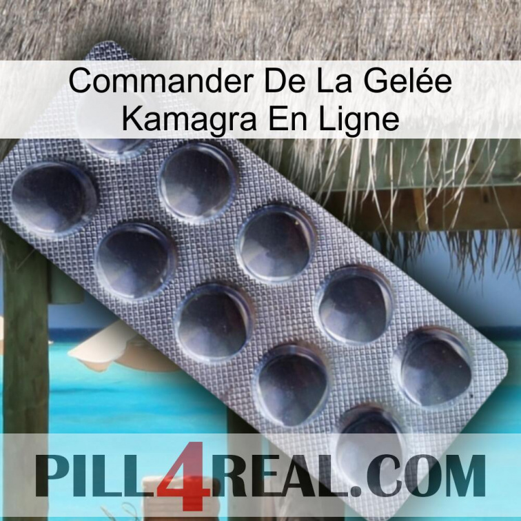 Commander De La Gelée Kamagra En Ligne 30